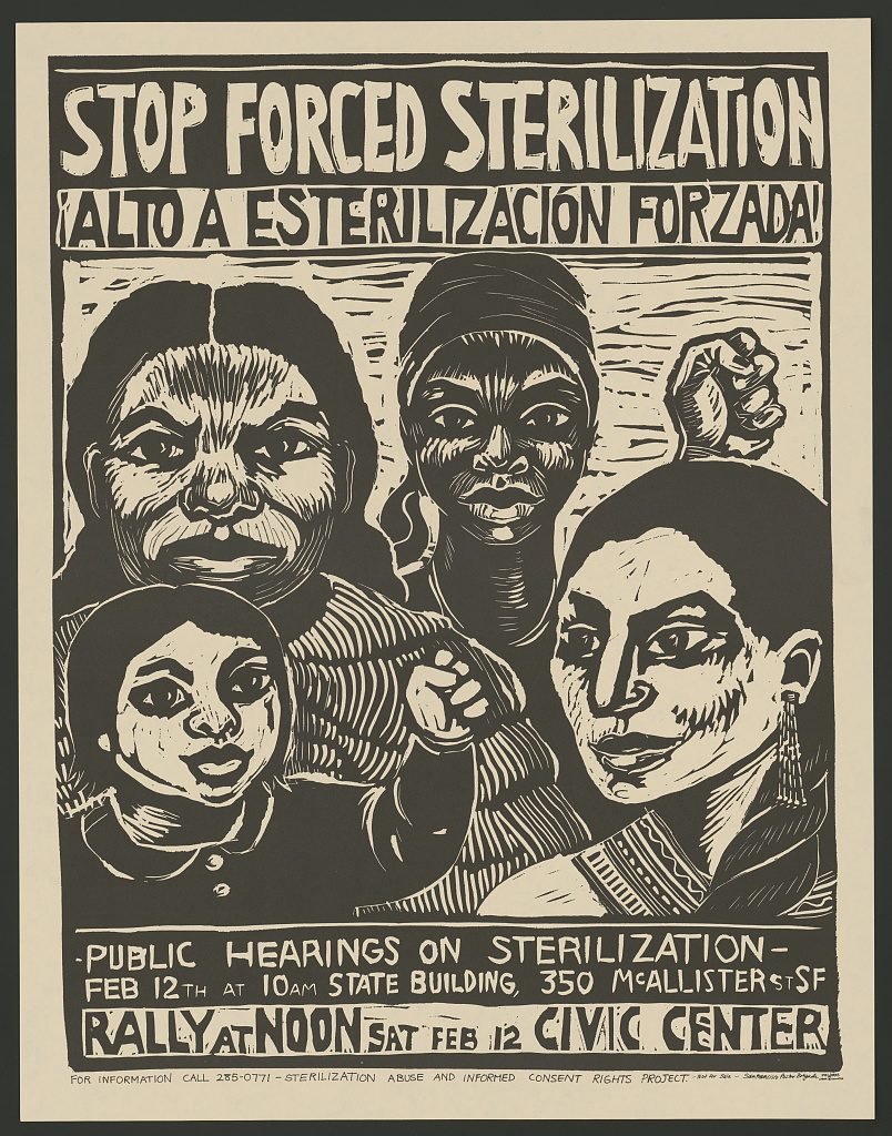 forced sterilizations, sterilization, posters, california, america, usa, reproductive rights, reproductive freedom