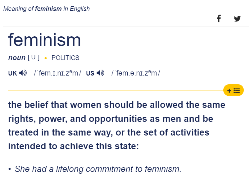 feminism