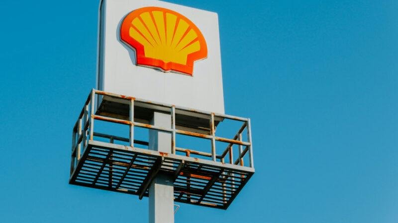 shell, Mikaela Loach