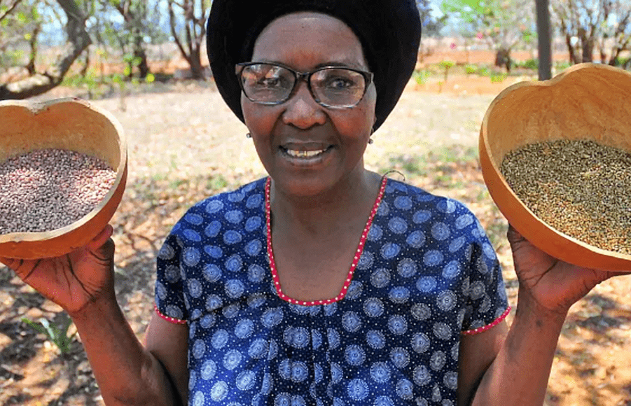 South Africa: fighting back against food poverty and climate change through Indigenous farming methods