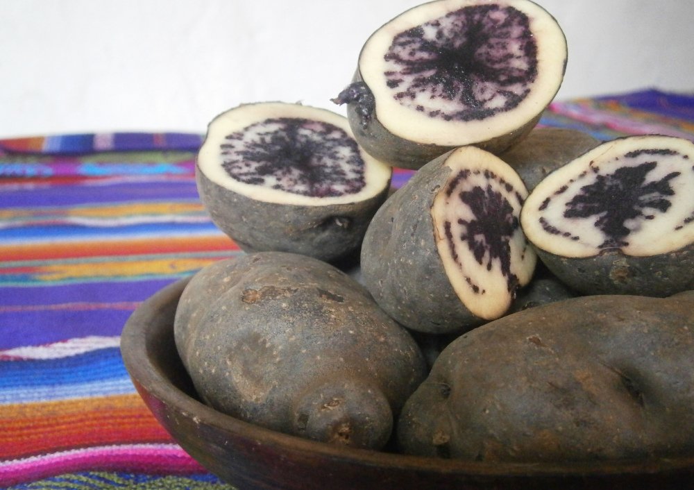 potatoes, food security, food poverty