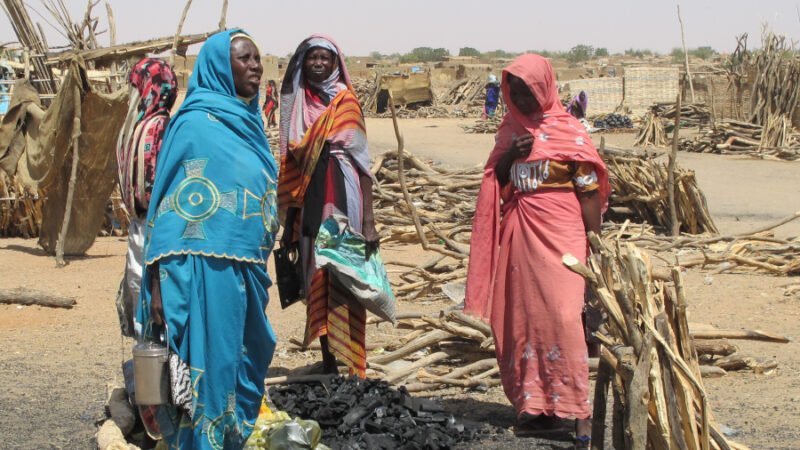 Sudan war: El Fasher’s 500-day siege leaves women facing famine and death